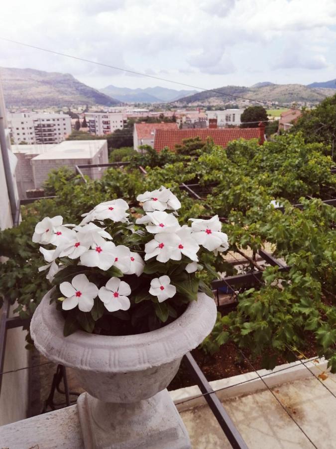 Nemanja Apartment Trebinje Exterior foto